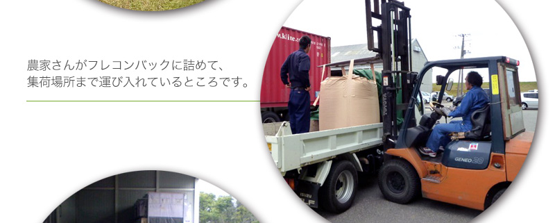 飼料用米作付け農家さんがフレコンバックに詰めて、 集荷場所まで運び入れているところです。
