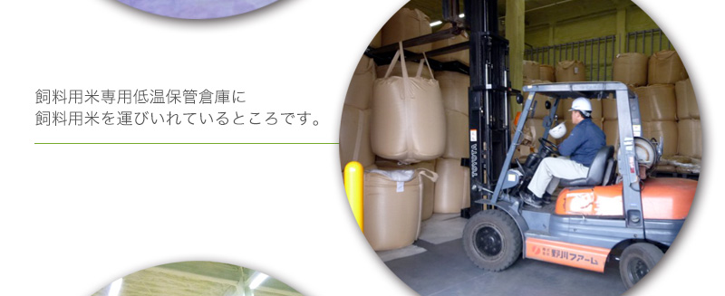 飼料用米専用低温保管倉庫に飼料用米を運びいれているところです。