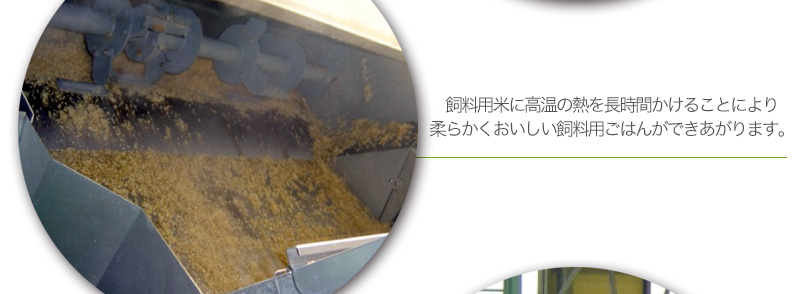 飼料用米に高温の熱を長時間かけることにより柔らかくおいしい 飼料用ごはんができあがります。