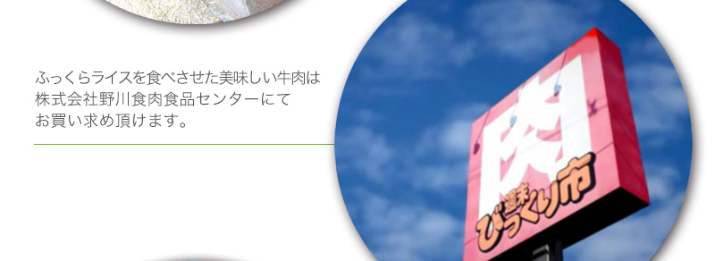 ふっくらライスを食べさせた美味しい牛肉は、株式会社野川食肉食品センターにてお買い求め頂けます。
