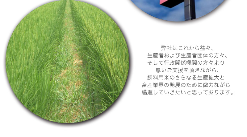 弊社はこれから益々、生産者および生産者団体の方々、そして行政関係機関の方々より厚いご支援を頂きながら、飼料用米のさらなる生産拡大と畜産業界の発展のために微力ながら邁進していきたいと思っております。